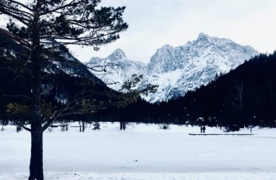 ians_residence_kranjska_gora_ (10)