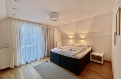 ians_residence_kranjska_gora_ (24)