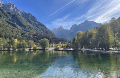 ians_residence_kranjska_gora_ (29)