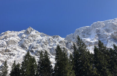 ians_residence_kranjska_gora_ (34)