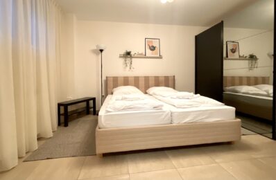 ians_residence_kranjska_gora_ (38)