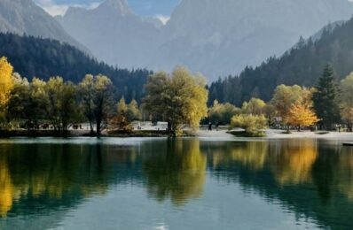 ians_residence_kranjska_gora_ (7)