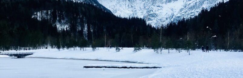 ians_residence_kranjska_gora_ (9)